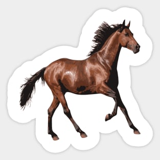 brown horse Sticker